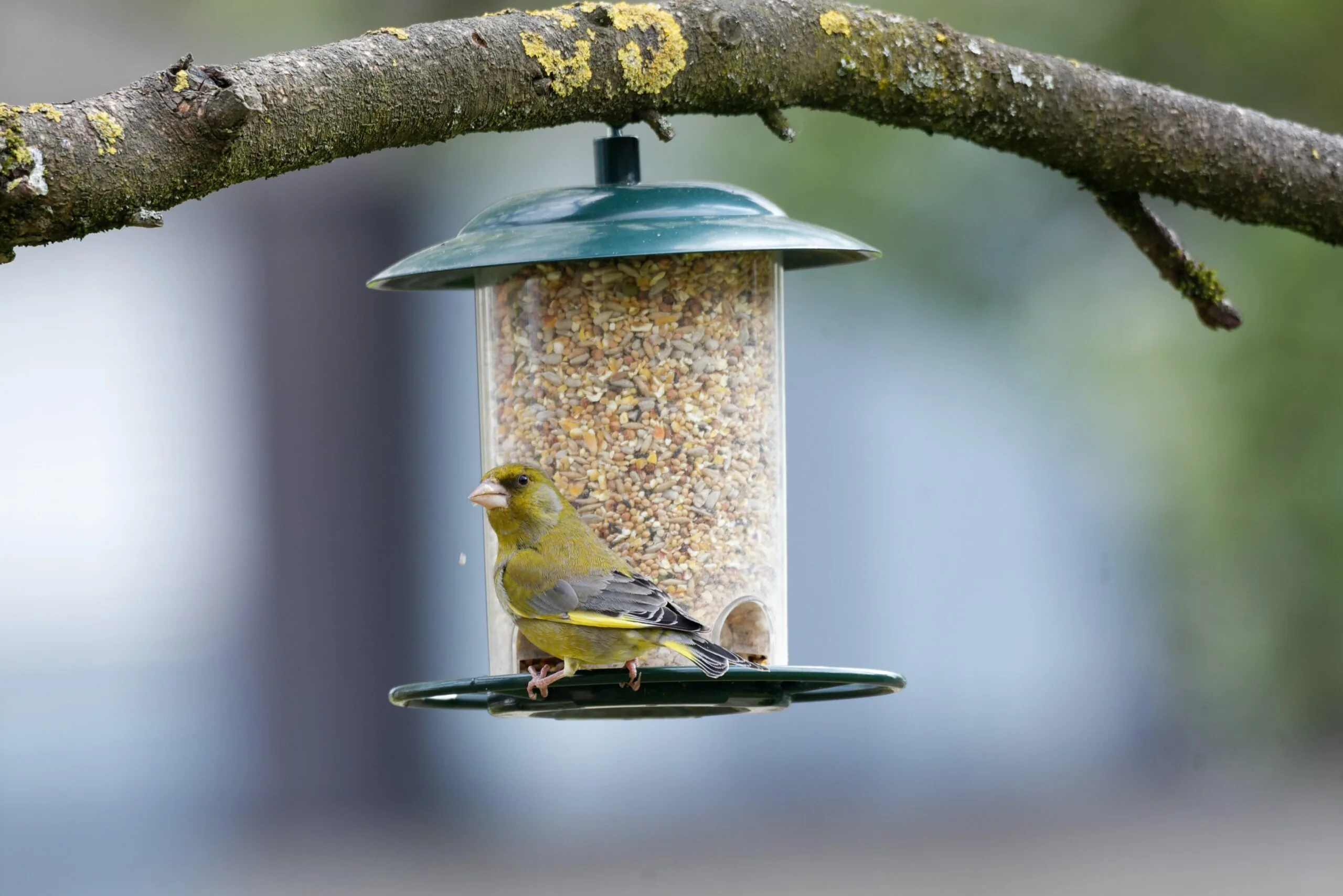 regine-tholen-3FRJJmwsgr4-unsplash